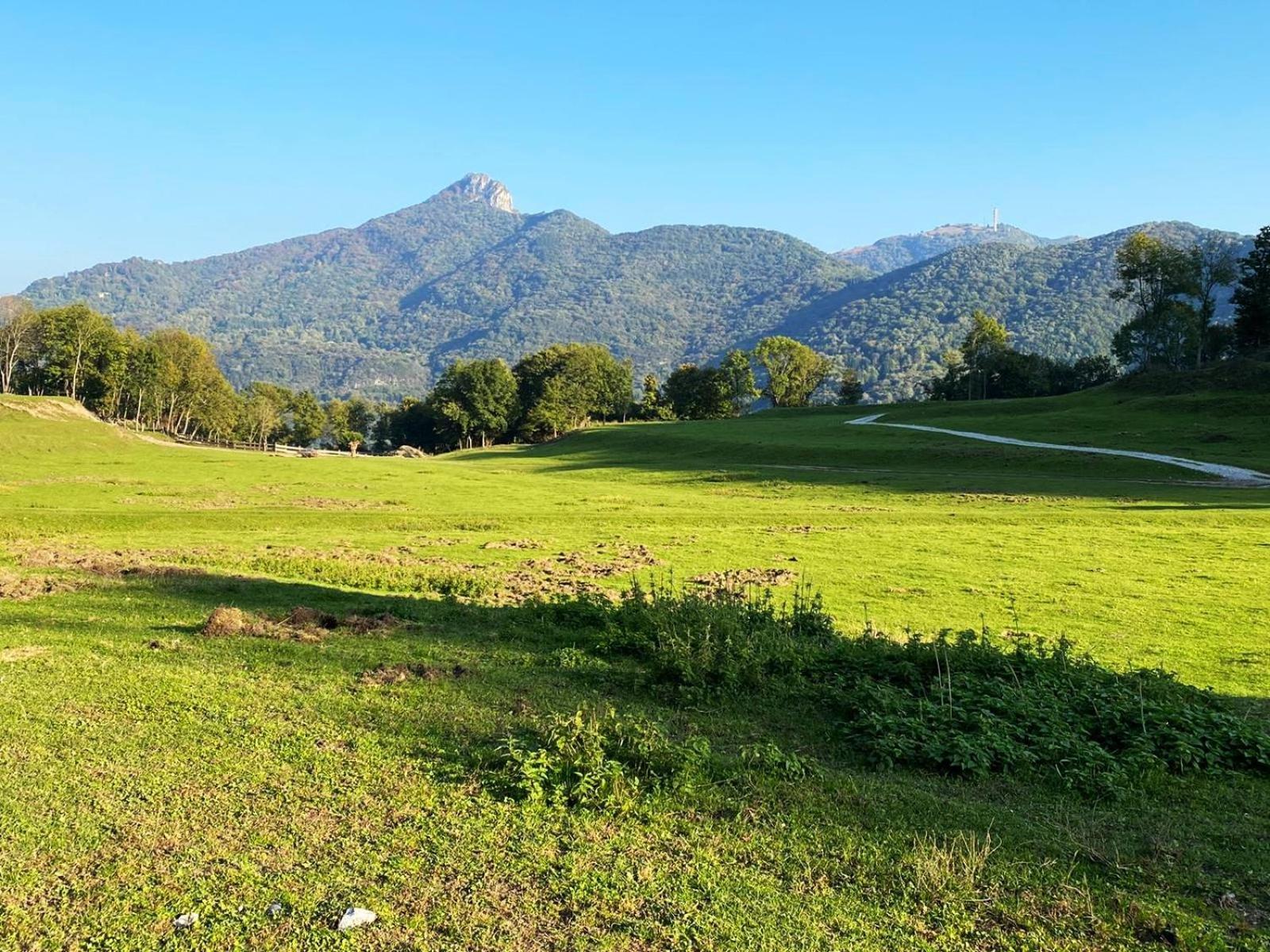 Narciso B&B Valbrona ภายนอก รูปภาพ
